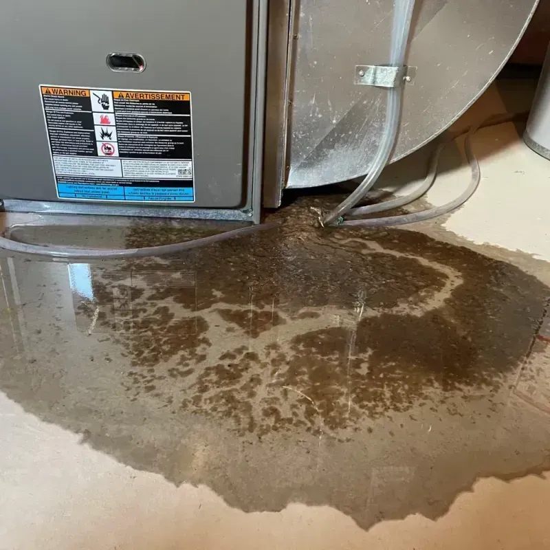 Appliance Leak Cleanup in Stanton County, KS